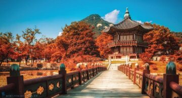 Du lich Y Viet Tour Han Quoc 6 ngay 5 dem