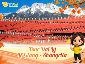 DAI LY LE GIANG SHANGRILA