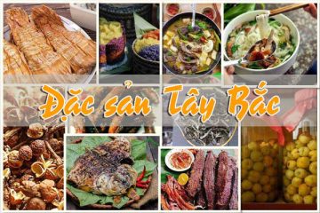 0449 0b817210405911c dac san tay bac