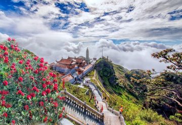 Sapa