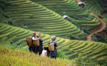 du lich tay bac cam nang kinh nghiem cho nguoi lan dau moi di 202306291555094870