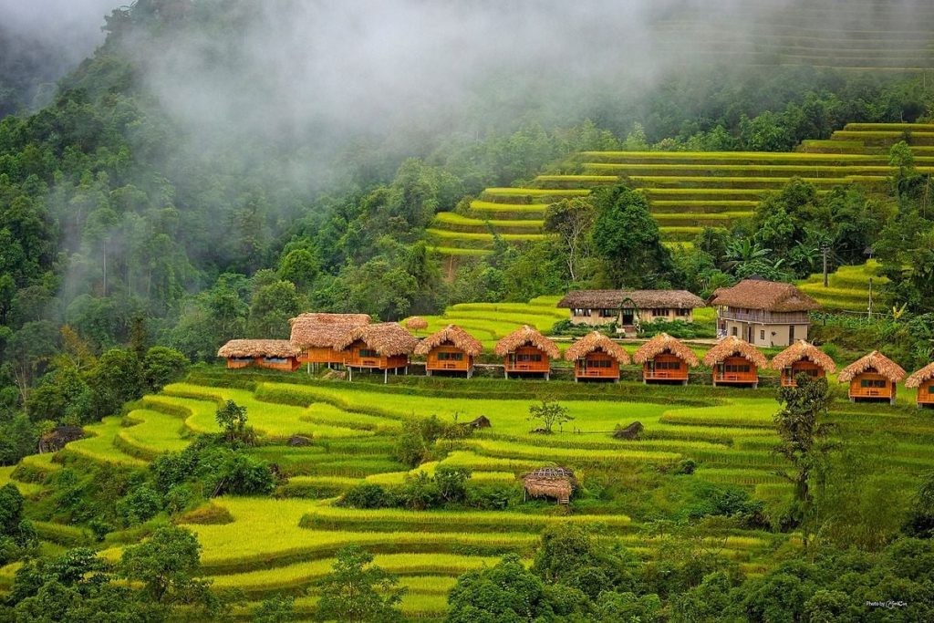 hoang su phi 11 1441