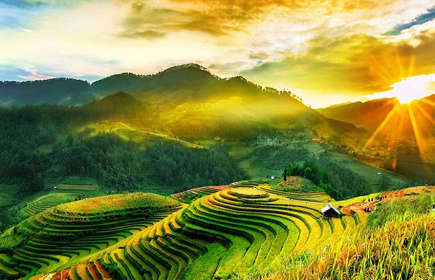 TOUR ĐÀ LẠT THÁNG 9 – MÙA HOA DÃ QUỲ CHỚM NỞ 1 Tour Đà Lạt tháng 9 - hoa dã quỳ chớm nở