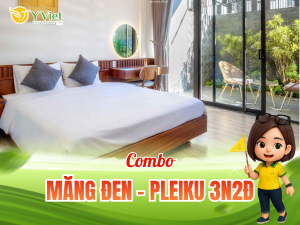 Mang den Pleiku 3n2d
