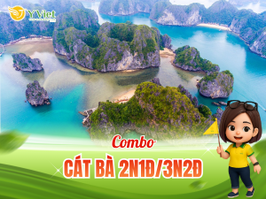 cat ba 2n1d 3n2d