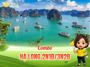 ha long 2n1d 3n2d