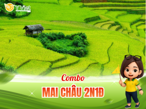 mai chau rice fields