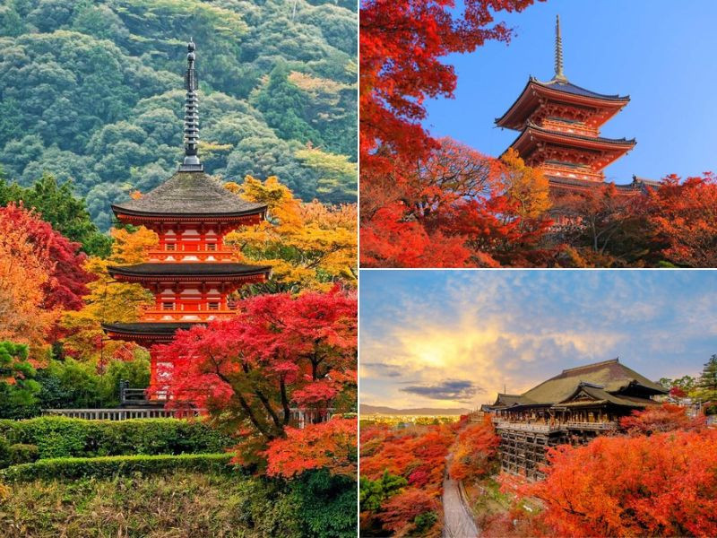 check in chua kiyomizu mua thu