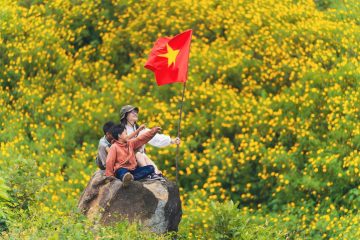 Đi tour hay tự túc