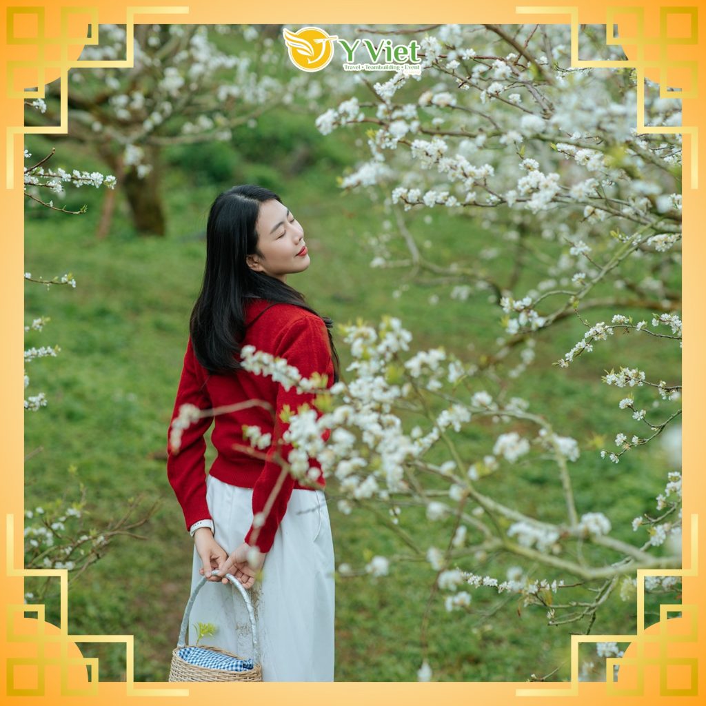 Du Lịch Ý Việt