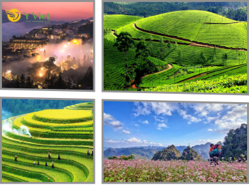 Thiet ke chua co ten 10