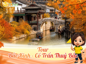 Bac Kinh Co Tran Thuy Bac