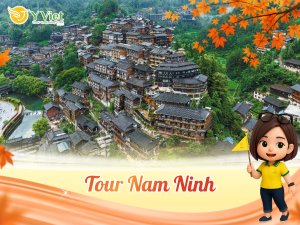 NAM NINH THAI BINH CO TRAN