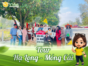 HA LONG MONG CAI