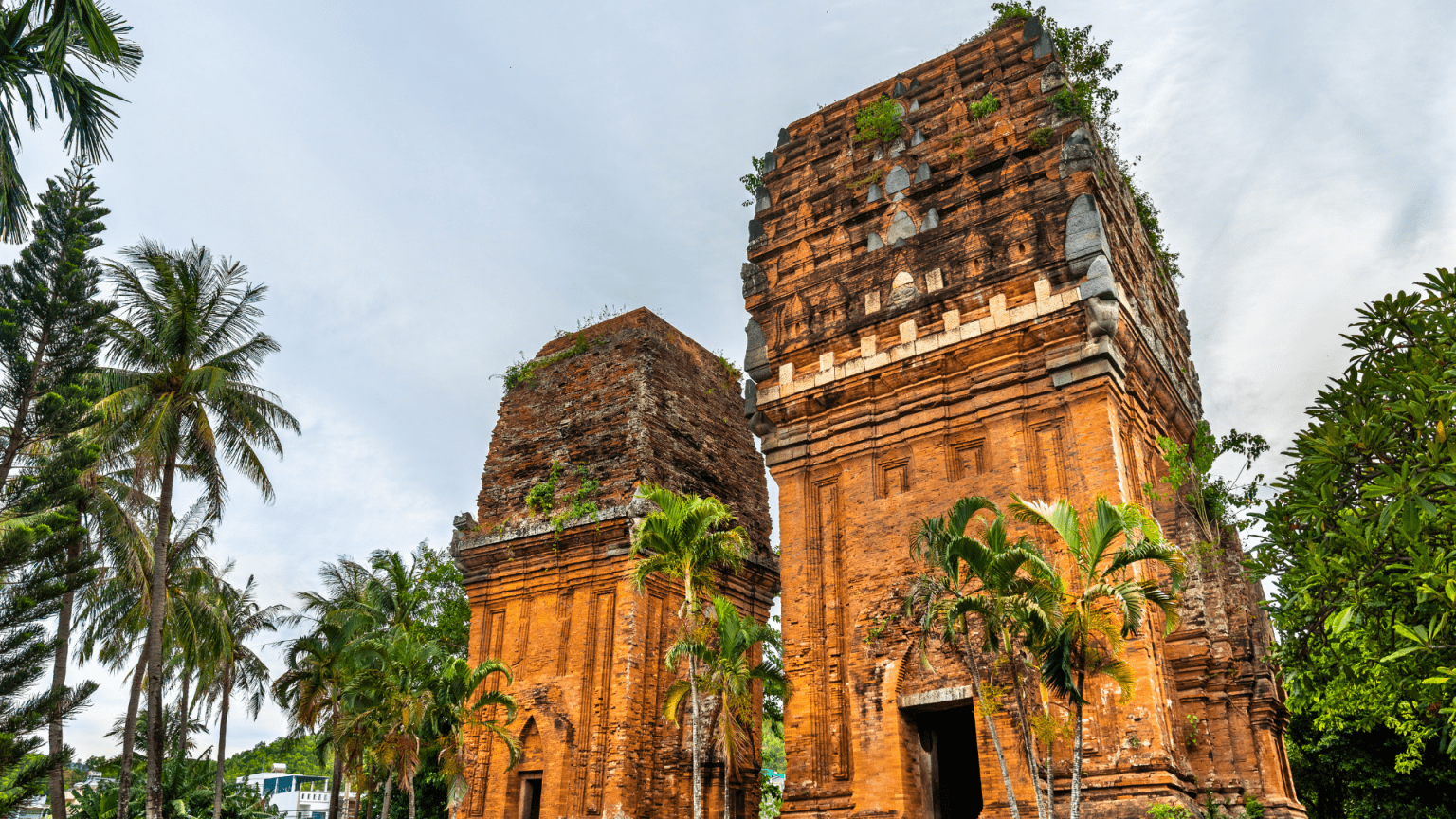 du-lich-quy-nhon-ivivu-8-1536x864 du lich quy nhon ivivu 8 1536x864 1