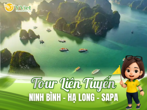 ninh binh